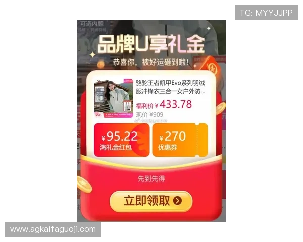 凯发vip平台最新优惠活动全面解析助你轻松享受尊贵游戏体验