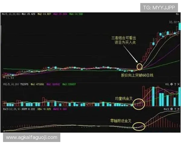 如何在K8捕鱼中实现高收益，实用技巧与策略全方位分享