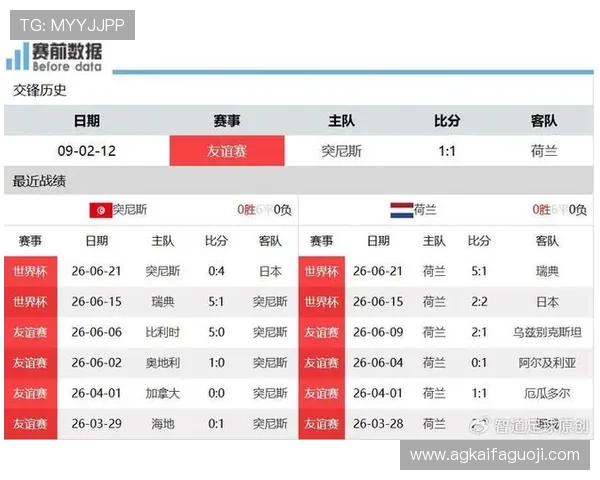 世界杯突尼斯对阵荷兰比赛中黄牌数详细统计与分析